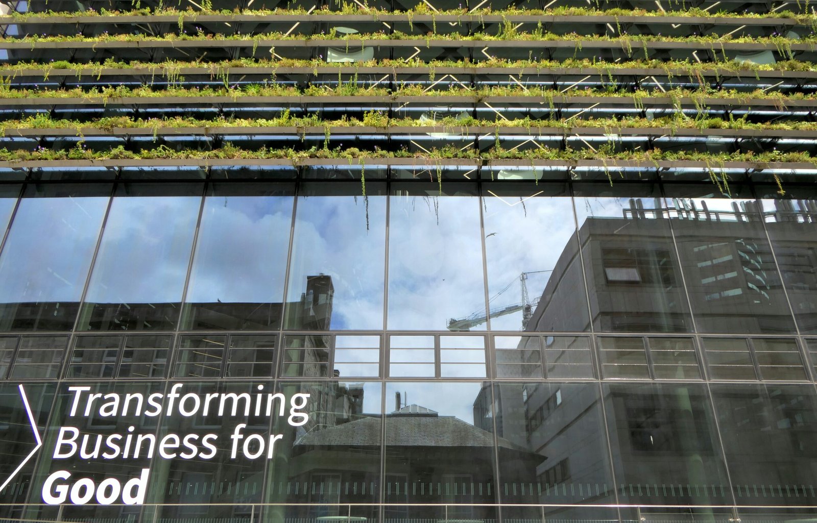 Corporate Philanthropy: How Businesses Create Lasting Social Impact