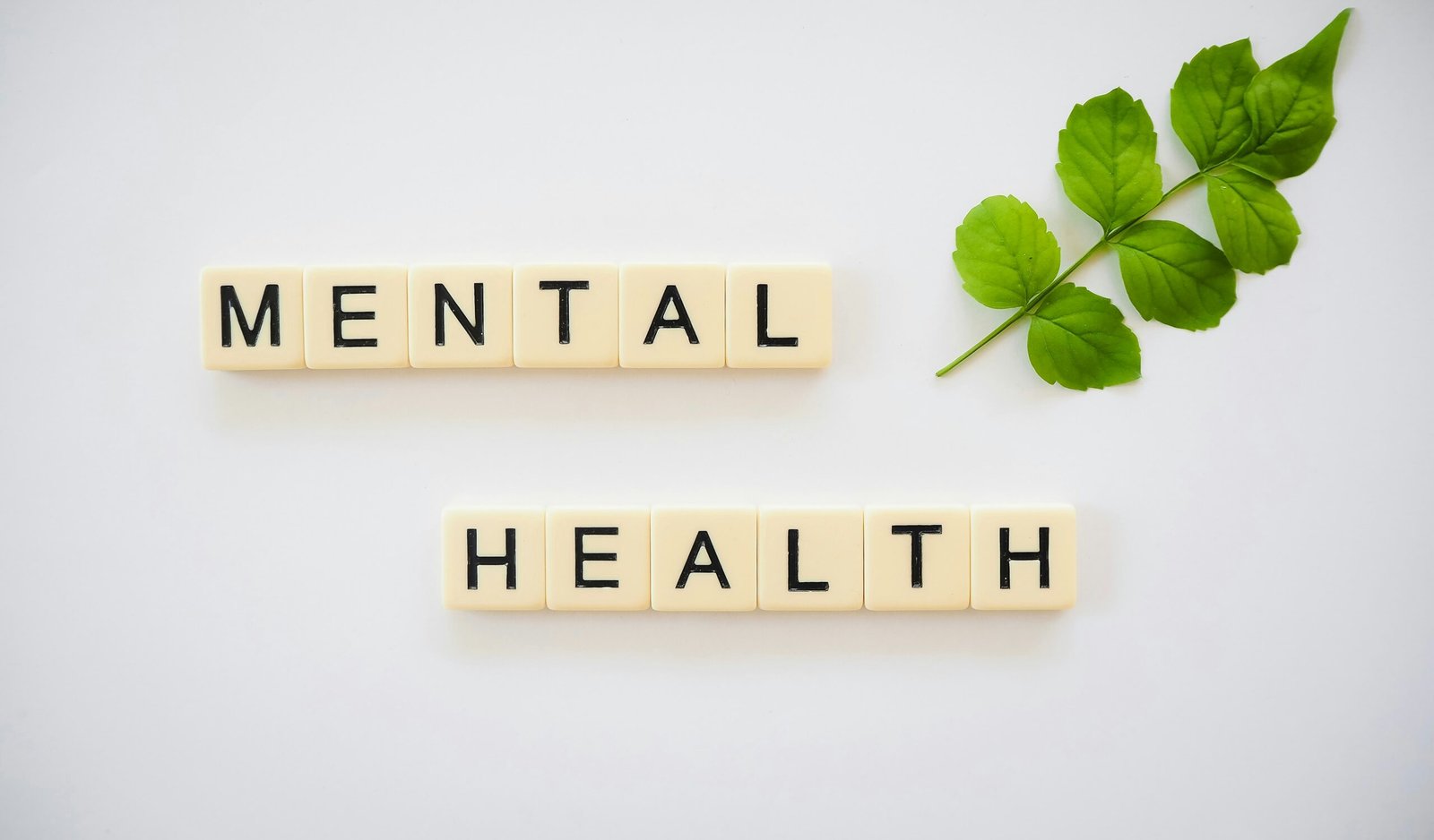 The Surge in Donations to Mental Health Charities: Understanding the Phenomenon